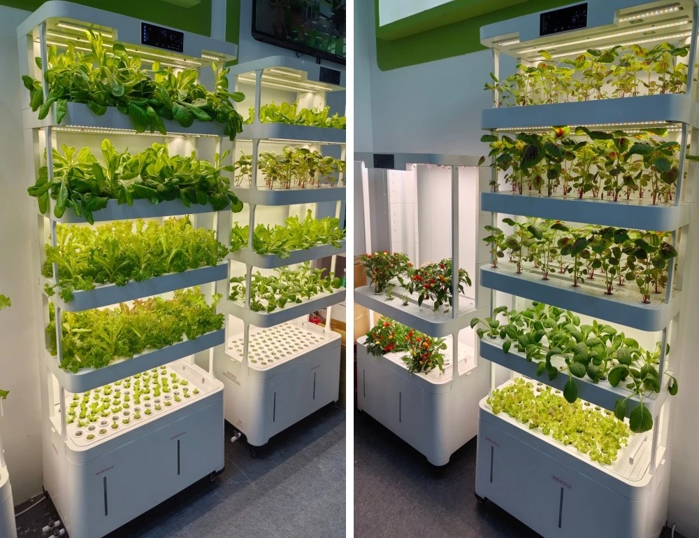 vegetable hydroponic system.jpg vegetable hydroponic system.jpg