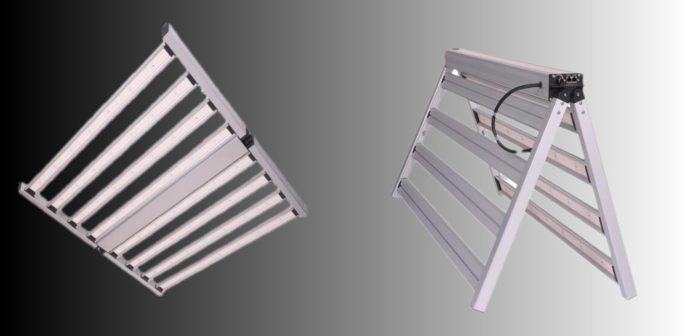 Growth Lamp Growth Lamp